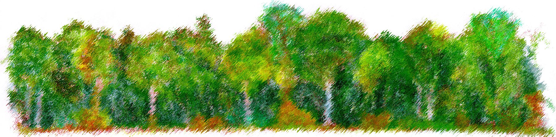 Past p 01 - arbres 20.jpg